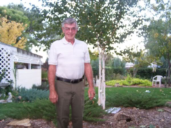 dentpuller2002