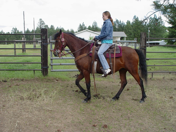 Vanderhoof