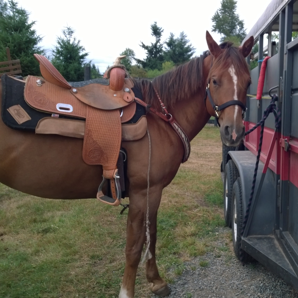rodeobound98