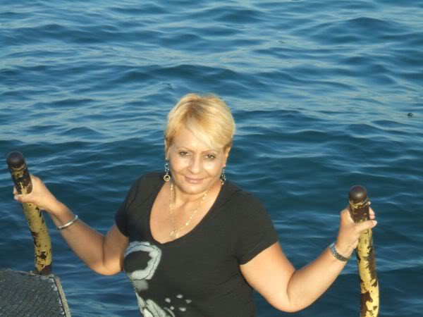 Norma4d