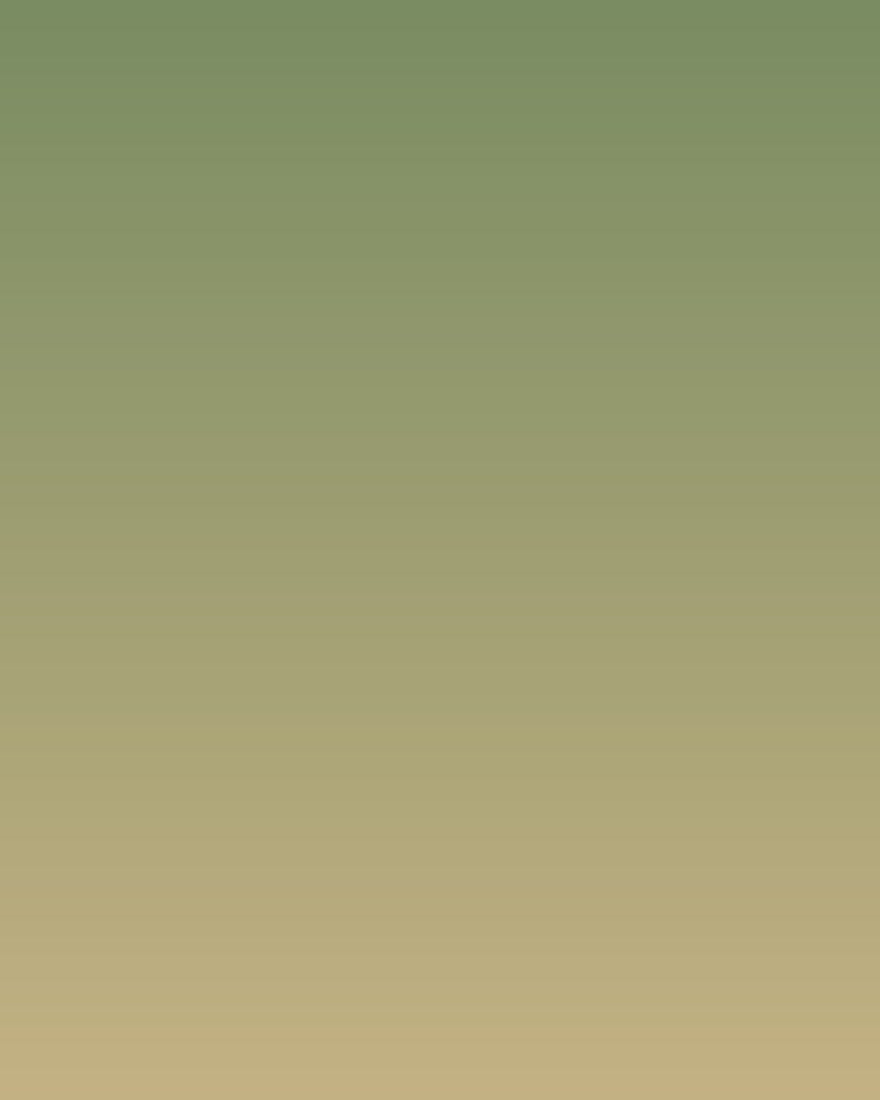 qa_wb_f3b