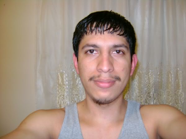 martin