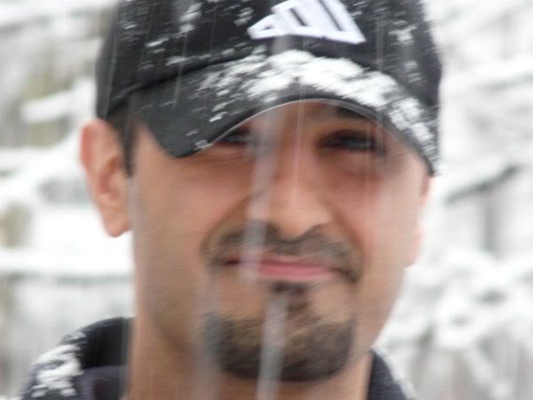 PersianMatt