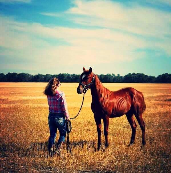 Barrelracer101
