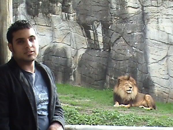 AmmarR