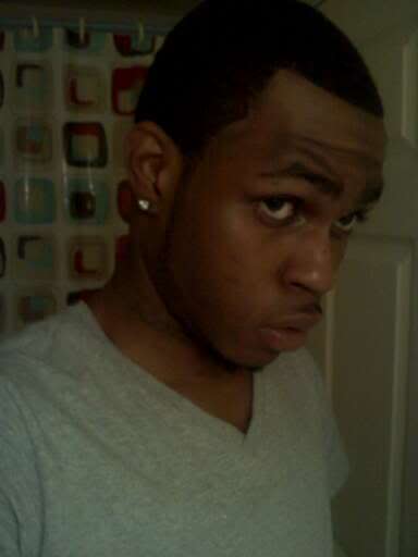 Rook