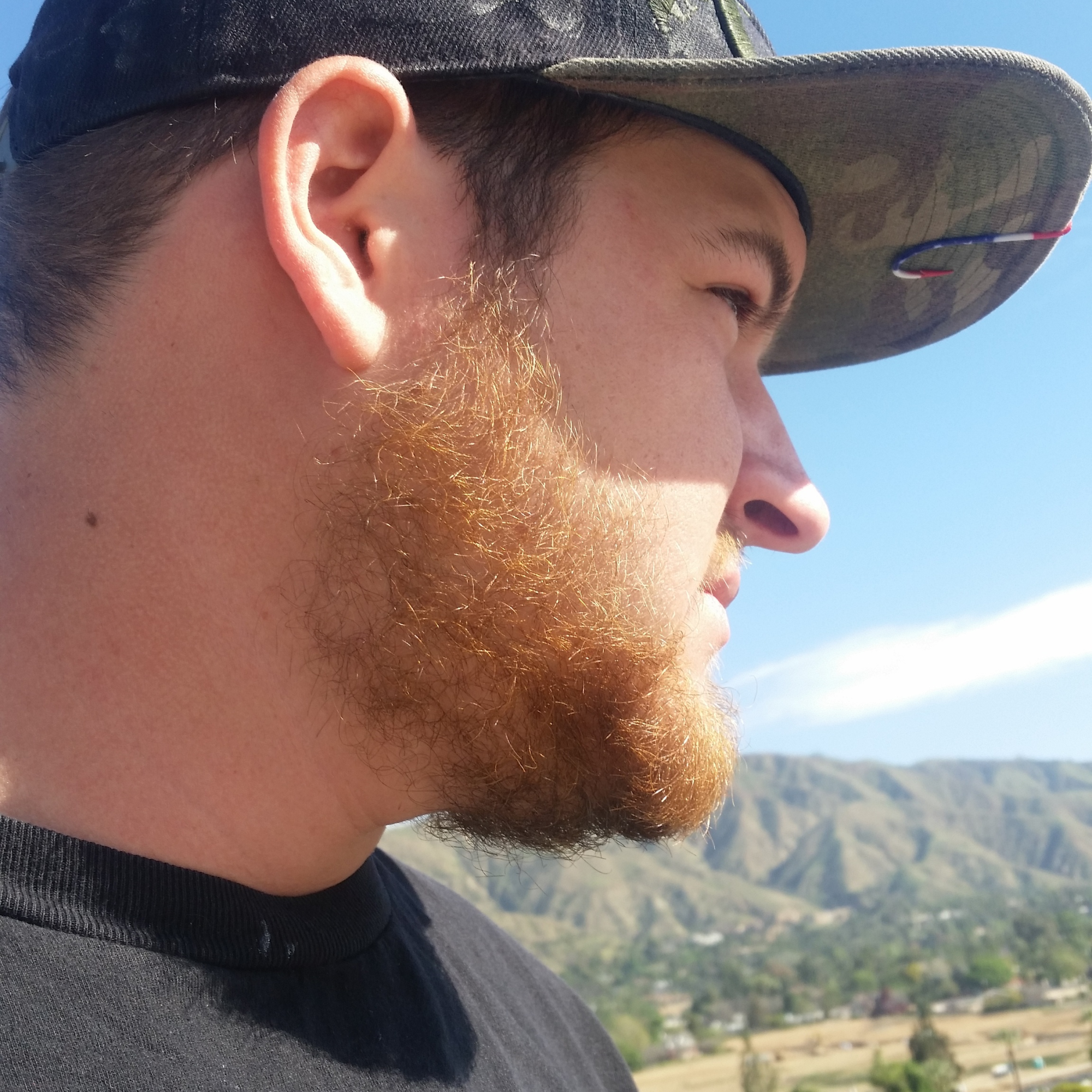 tattedmatt