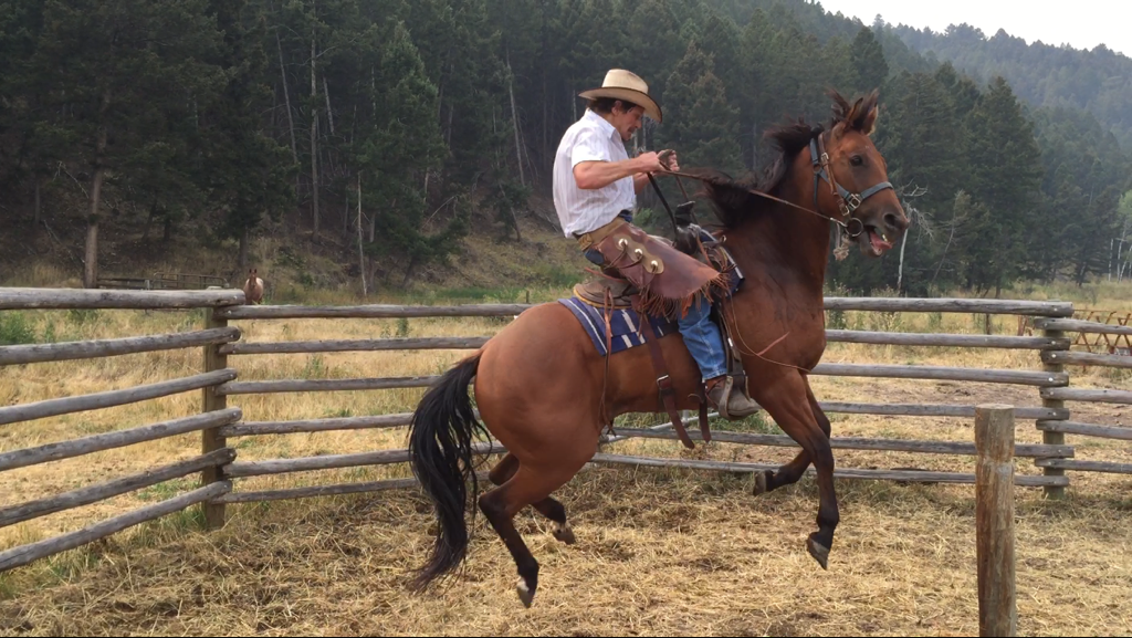 Horseman44