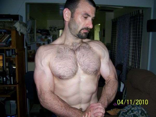 Alphawolf