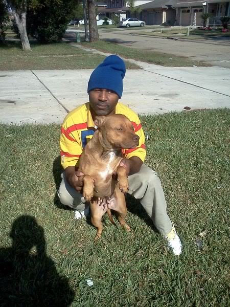 RayfieldR