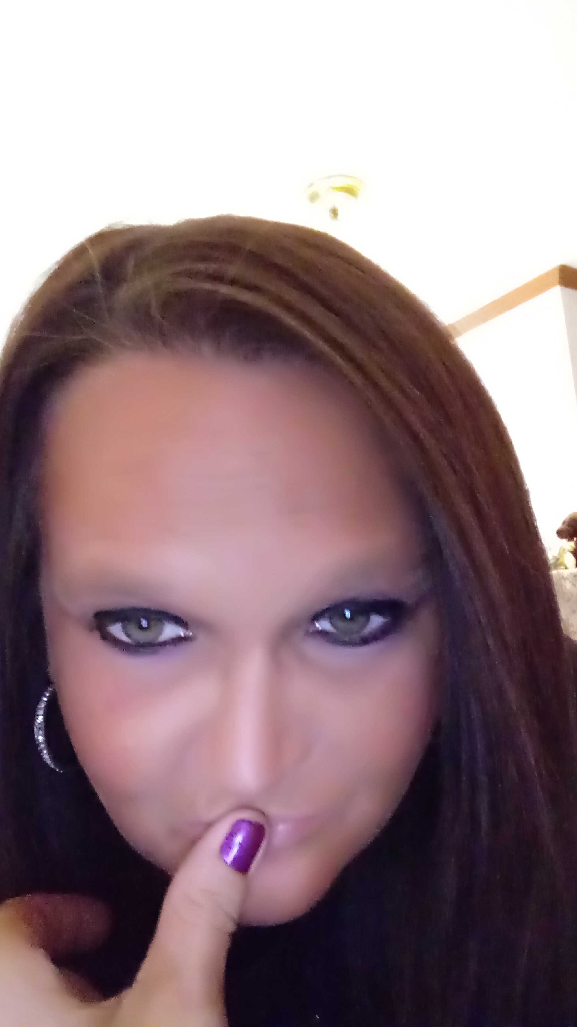Dionnanicole