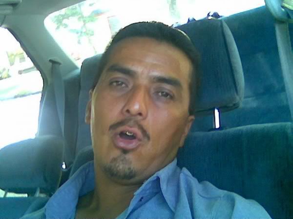 Torito
