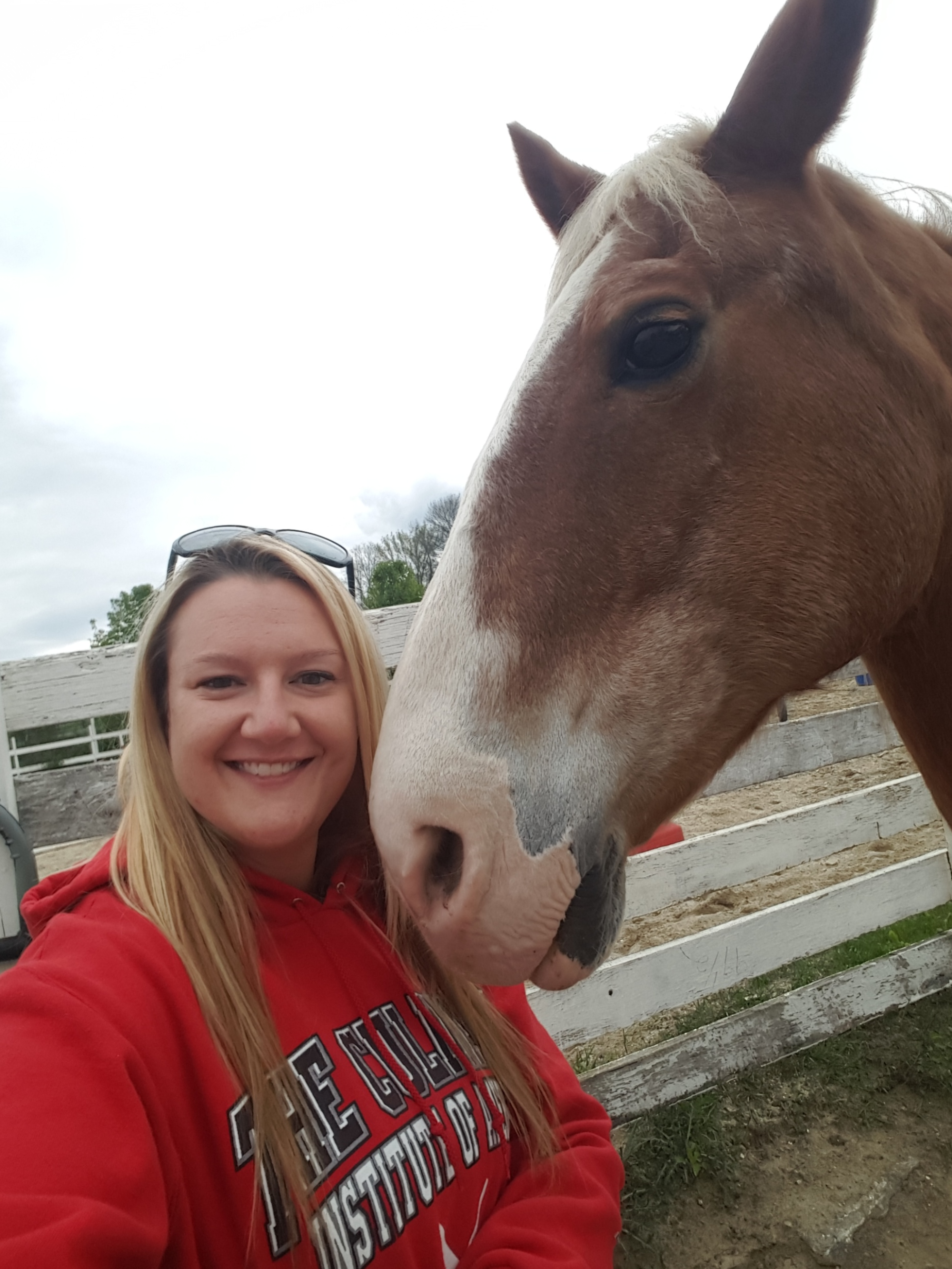 HorseLover111